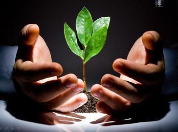 大電流變壓器盡在鵬鷹您的滿意是我們永恒的追求_大電流變壓器盡在鵬鷹您的滿意是我們永恒的追求價格_大電流變壓器盡在鵬鷹您的滿意是我們永恒的追求廠家_防盜、報警器材及系統 產品 中國橄欖油交易網-橄欖油價格 橄欖油團購 橄欖油行情 進口橄欖油